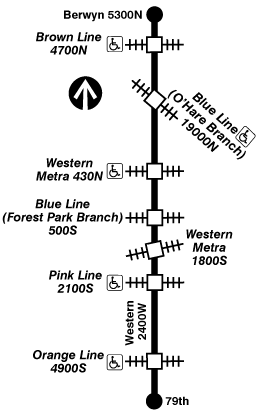 Bus 49 CTA Bus Route Western - OWL