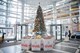 toys_for_tots_tree