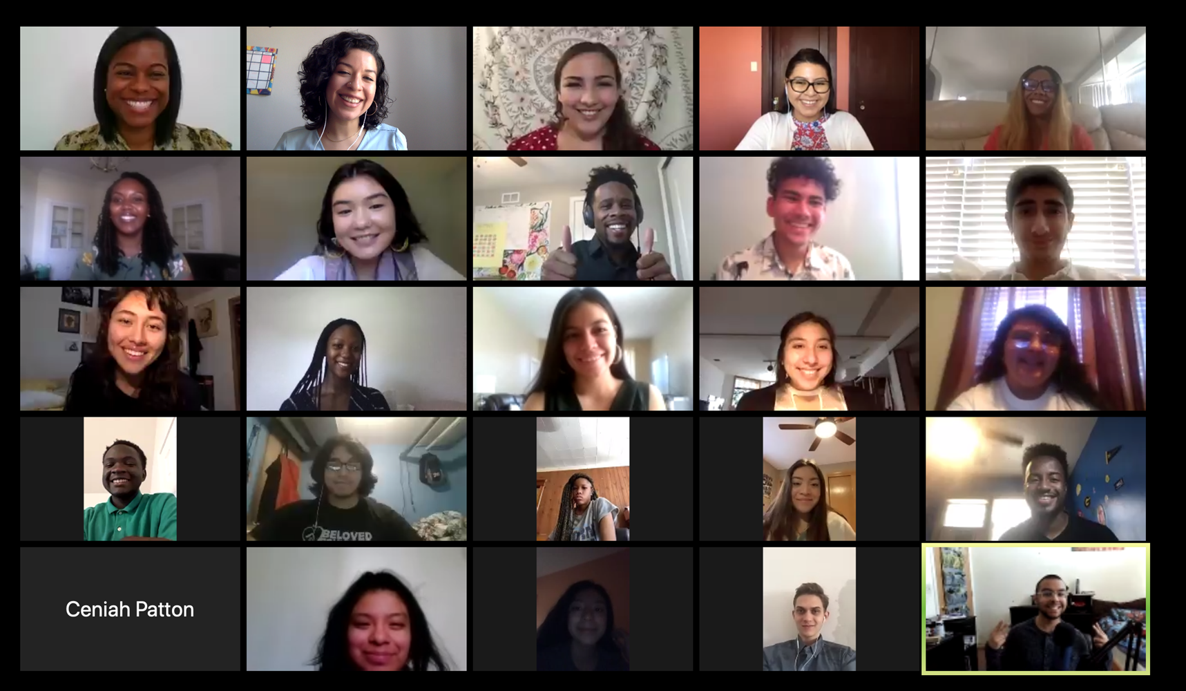 Interns on video call