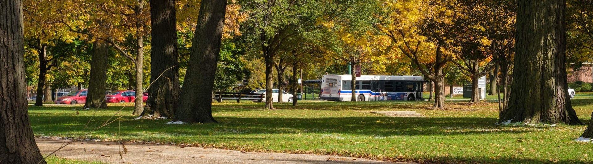 Washington Park with vibrant leaves and a bus
