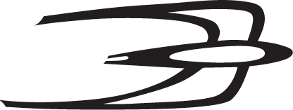 Skokie Swift bird icon