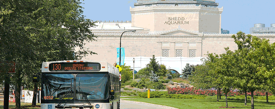 130 Museum Campus bus on the Museum Campus