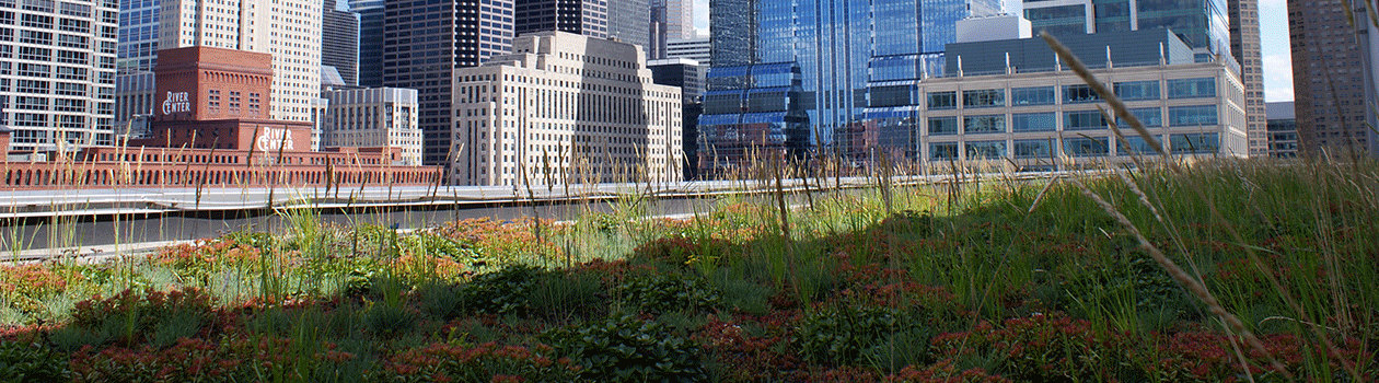 The green roof atop CTA Headquarters in the bustling West Loop
